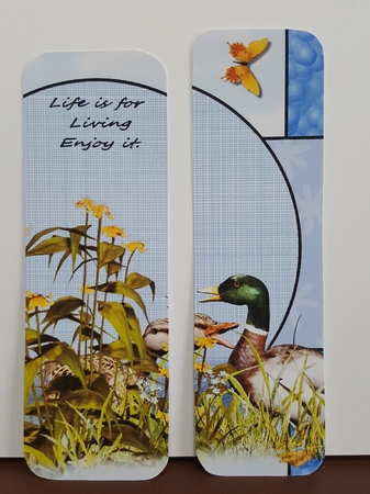 pond life by Benita Jenkinson