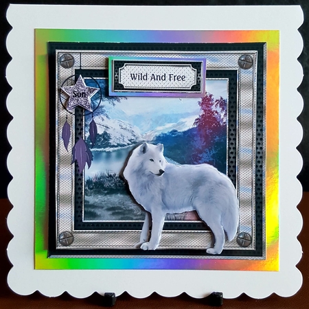 Wild And Free by Benita Jenkinson