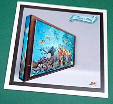 fish tank by Benita Jenkinson
