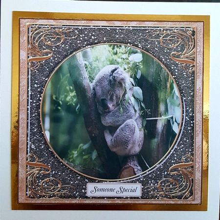 WALK ON THE WILD SIDE MULTI SENTIMENT KOALA 2 by Benita Jenkinson