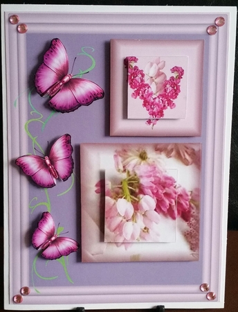 butterfly pink by Benita Jenkinson
