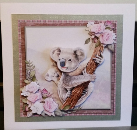 CUTE KOALAS by Benita Jenkinson