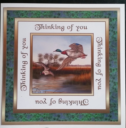 SC Flying home  - Thinking of you. by Benita Jenkinson