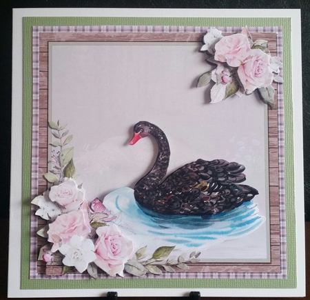 BLACK SWAN 6X6 by Benita Jenkinson