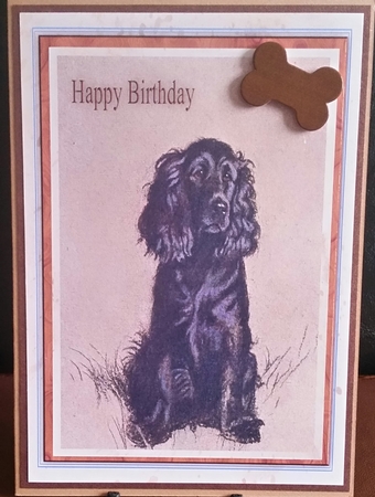 Doggy Toppers by Benita Jenkinson