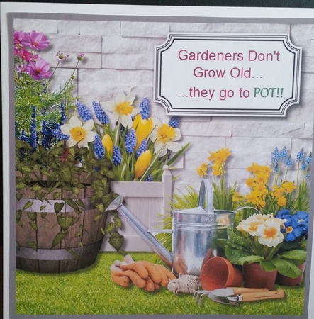 Gone to POT!! by Benita Jenkinson