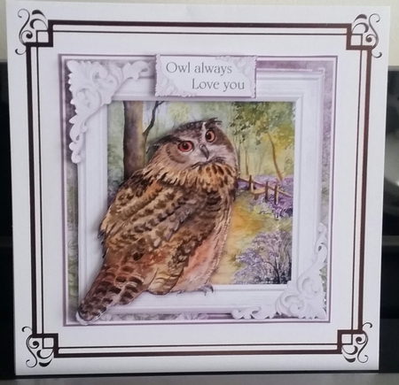 Beautiful Owl 4 by Benita Jenkinson