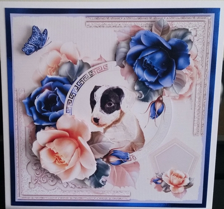 June & Rachel Bumper Kit by Benita Jenkinson