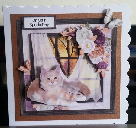 Cat in the Window 4 by Benita Jenkinson