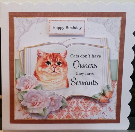 Cats have Servants 2 by Benita Jenkinson