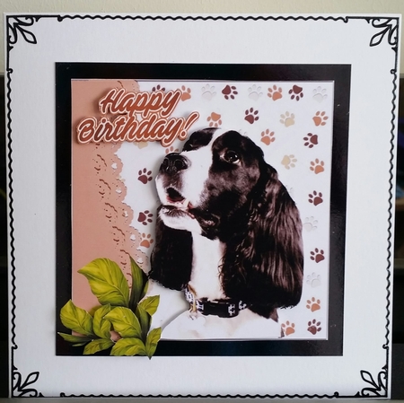 Lovely black and white spaniel dog with leaves 7x7 by Benita Jenkinson