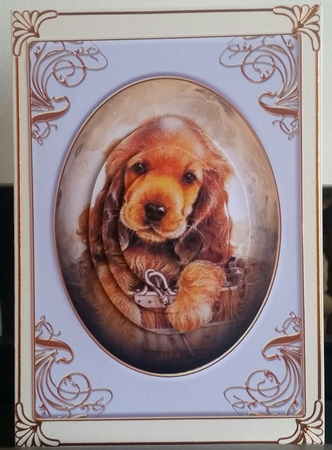 Someone Special by Benita Jenkinson
