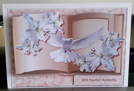 Beautiful  Sympathy  Book by Benita Jenkinson