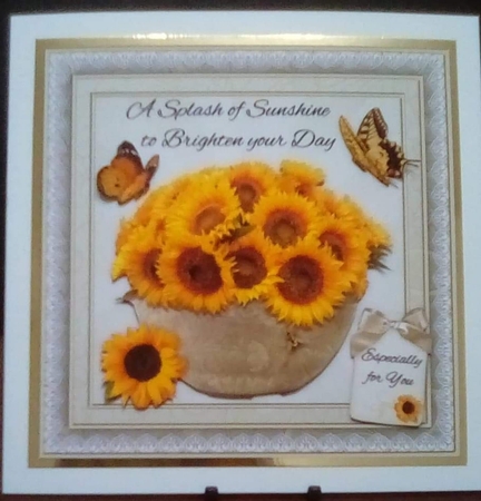A Splash of Sunshine by Benita Jenkinson
