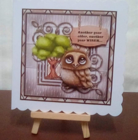 Male Card Wise Owl by Benita Jenkinson