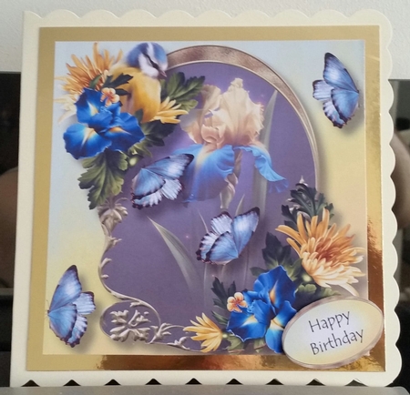 Golden Arched Frame - Iris & Bluetit 8x8 by Benita Jenkinson