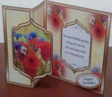 FB Poppies & Cornflowers by Benita Jenkinson