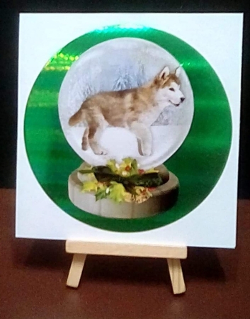 Christmas Dog  Snow Globes by Benita Jenkinson