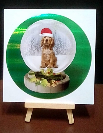 Christmas Dog  Snow Globes by Benita Jenkinson
