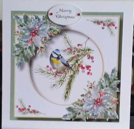Beautiful Watercolour Bird At Christmas 1 8x8 by Benita Jenkinson