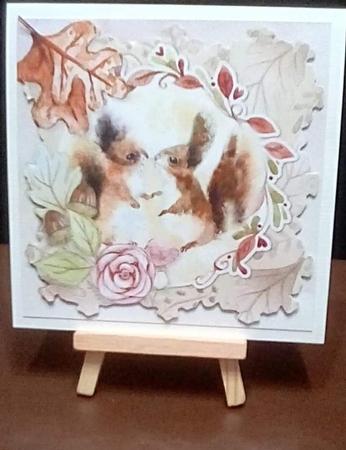 Fuzzie Wuzzies 2 Card Front and Inserts Kit by Benita Jenkinson