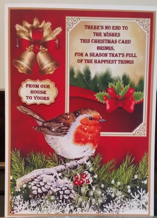 Robin sends Christmas wishes A5 by Benita Jenkinson
