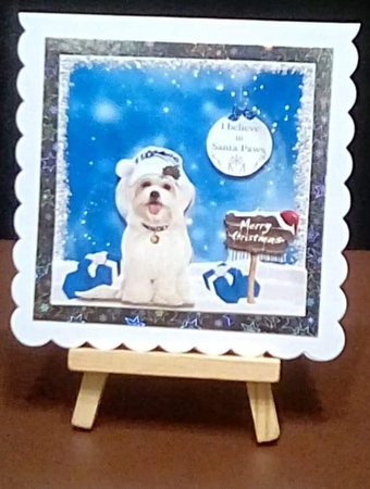 Santa Paws by Benita Jenkinson
