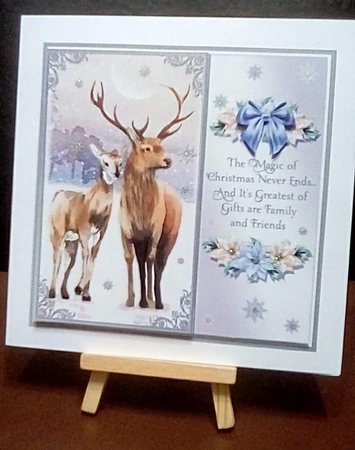 The Christmas Deer by Benita Jenkinson