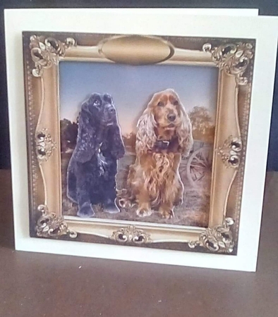 faithful pair  by Benita Jenkinson