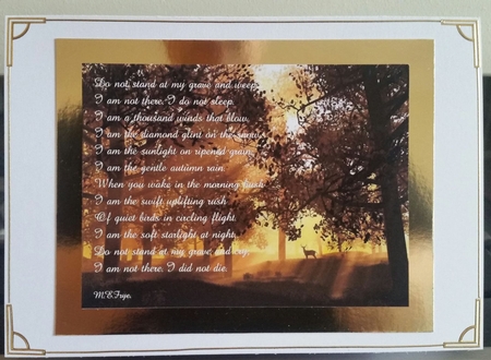 DO NOT STAND BY MY GRAVE AND WEEP QUICK SYMPATHY TOPPER by Benita Jenkinson
