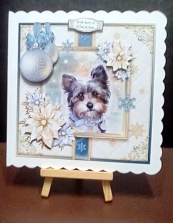 Cold Paws Warm Heart Kit One by Benita Jenkinson