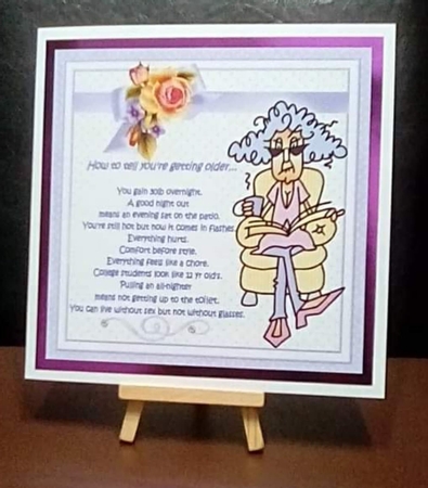 8x8 Stella is getting older mini kit by Benita Jenkinson