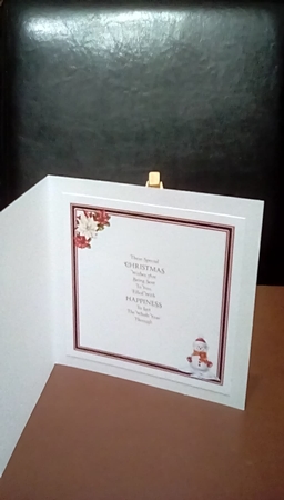 The Christmas Snowman by Benita Jenkinson