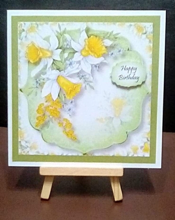 Spring Daffodils 8x8 by Benita Jenkinson