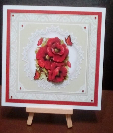 Beautiful Poppies N Butterflies  by Benita Jenkinson