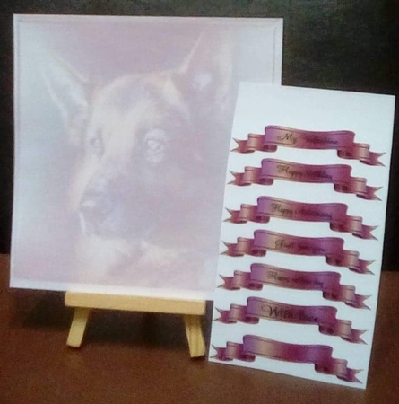 German shepherd and roses by Benita Jenkinson