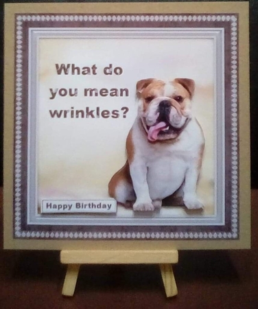 Wrinkles by Benita Jenkinson