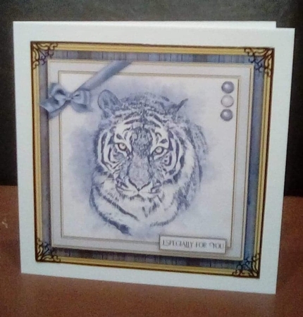Majestic Tiger Mini Kit by Benita Jenkinson