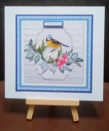 BLUE TIT QUICK CARD by Benita Jenkinson