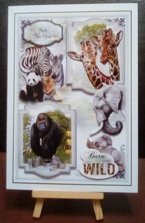 Born To Be Wild 03 Mini Page Kit  by Benita Jenkinson