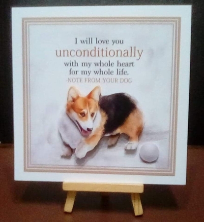 Unconditionally by Benita Jenkinson