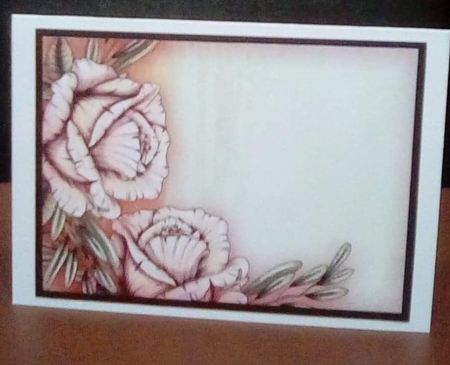 Kit Vintage Backgrounds Anemones by Benita Jenkinson
