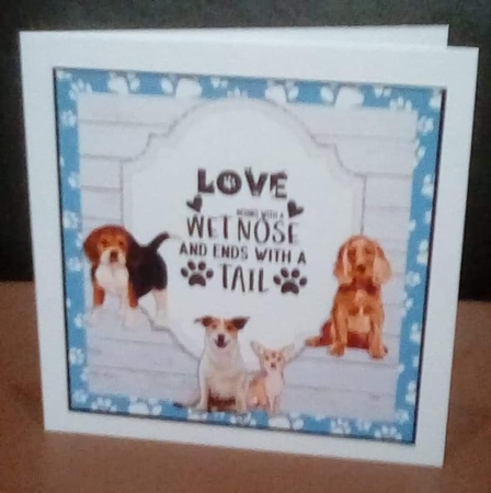 WET NOSES quick card by Benita Jenkinson