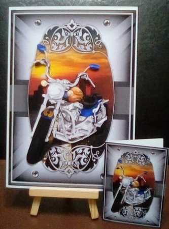 Born to ride by Benita Jenkinson