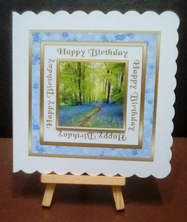 SC Bluebell woods by Benita Jenkinson