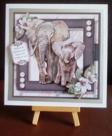 Beautiful Elephant TWO by Benita Jenkinson