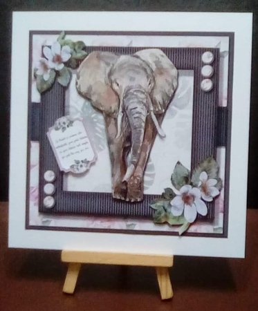 Beautiful Elephant FIVE  by Benita Jenkinson