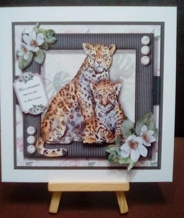 Beautiful Wild one  by Benita Jenkinson