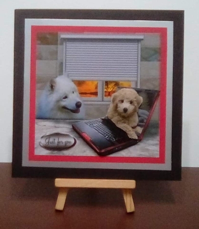my pal by Benita Jenkinson