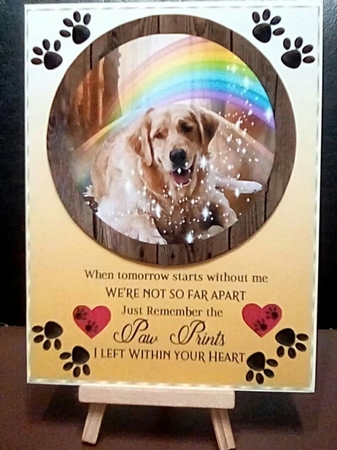 Pet loss card front 5 by Benita Jenkinson
